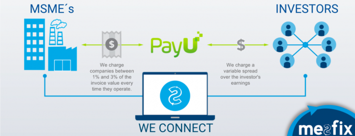 Revenue Model