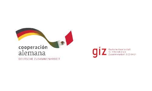 GizMex
